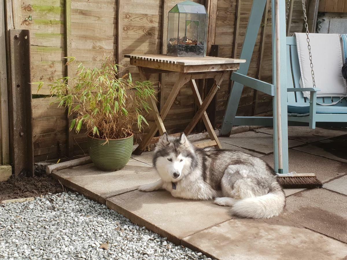The Garden Room, Pets, Fridge Tv Chester Bagian luar foto